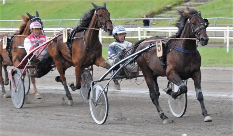 Figo Vennekilde 26721