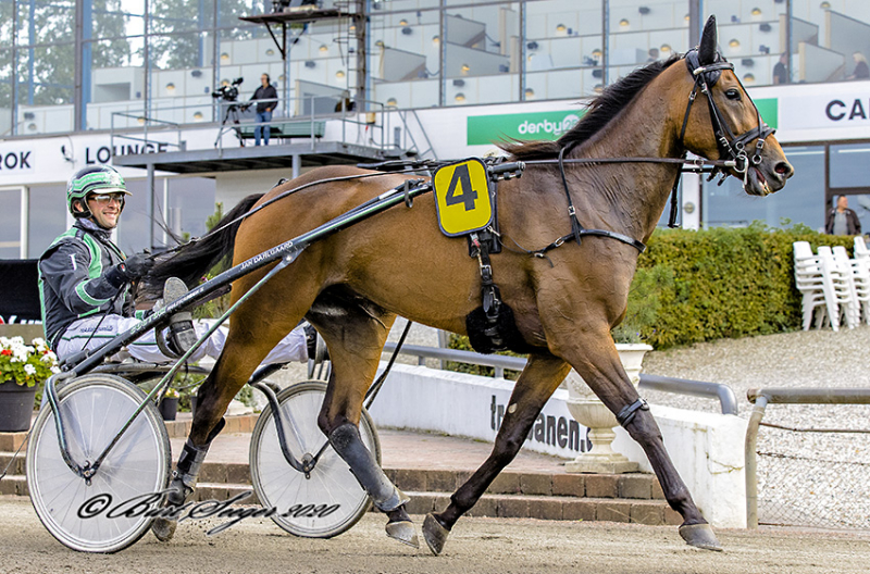 Muligheden er der – Indsatsen skal følge med ITSFLIPPINGGOOD_BS_6862