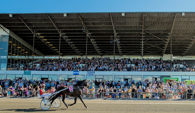 Startmelding til derbyweekenden i dag tribune-derby-2013_mgl0672