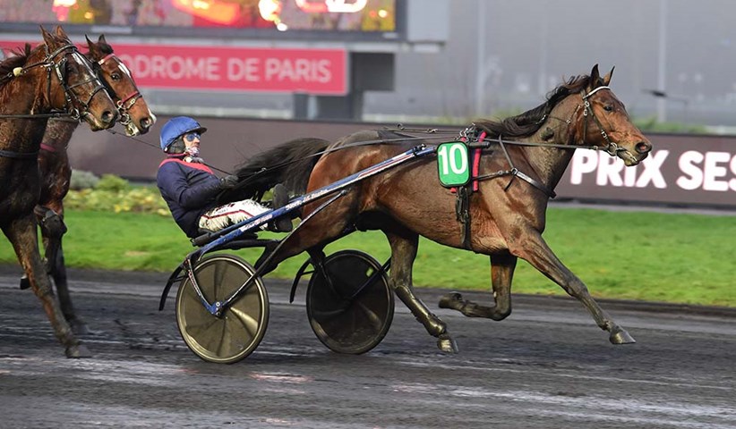 International toptraver og Gruppeløbs vinder tilbage i Danmark. valokajahindoe161218_1000