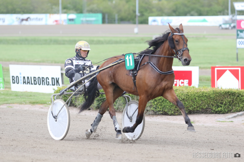 Travet.dk tog pulsen hos Bent Svendsen fLOWER dUST