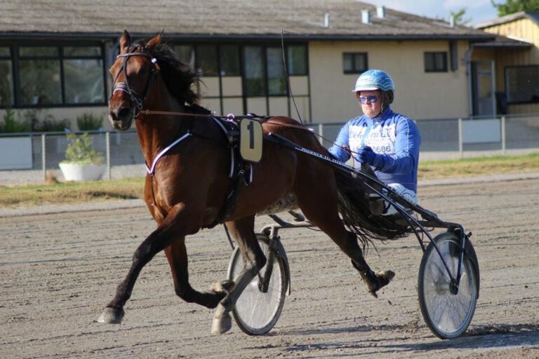 Anders Helge 3
