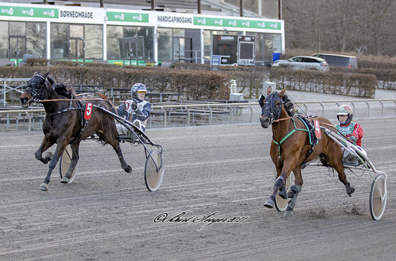 Daytona har fundet melodien DAYTONA_D2I3189
