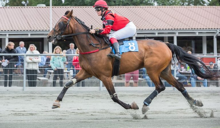 suset bork med nocole marsing 17 september 2016 tka 9098