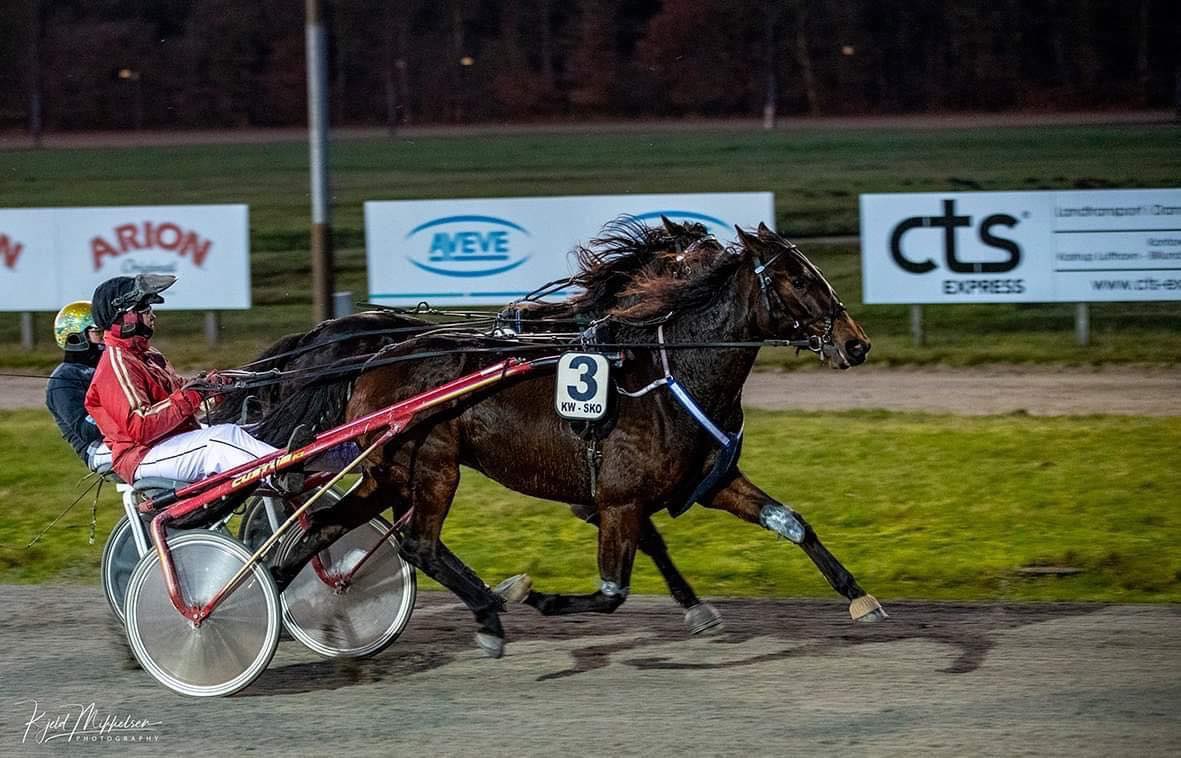 Tilgang til Louise Valentin Mortensen 157666526_1154691474984627_1209864410996207451_n