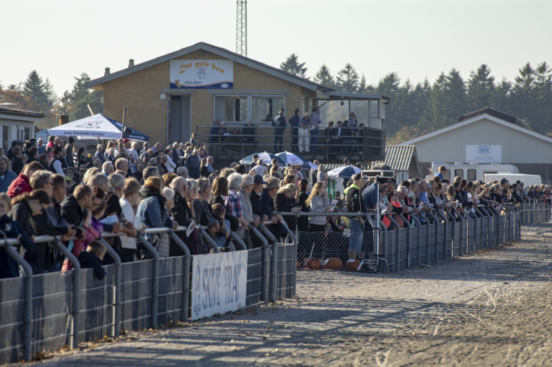 Medie - Skive Trav anmeldt for økonomisk svindel GP4A0330_Mange_Folk_Paa_Skive_Trav_