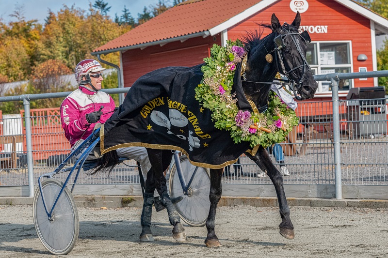 Pressemeddelelse fra Bornholms Brand Park. Streetwise med Frank Mikkelsen Bornholms Brand Park 25 oktober
