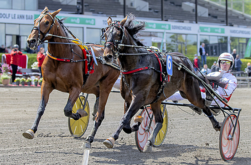 USAIN LOBELL D2I8266