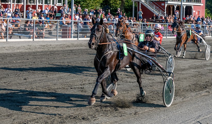 AVL - Det tredje af tre føl efter Bornholmsmesteren winners-wine-med-tom-olsen-bornholms-brand-park-11-august-2020-fotograf-torben-ager-travfoto-bornholm-tka_0545
