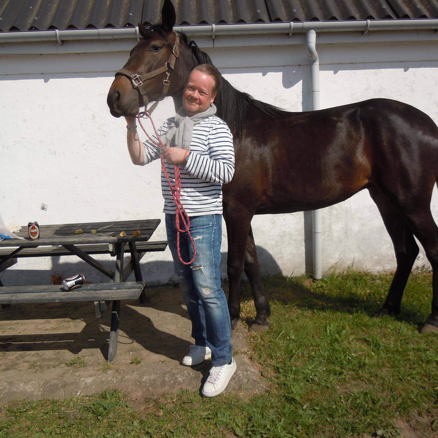 Har været hesteejer i mere end 30 år – Fik sejr i dag 12339335_1027847810579910_7982202175728224911_o