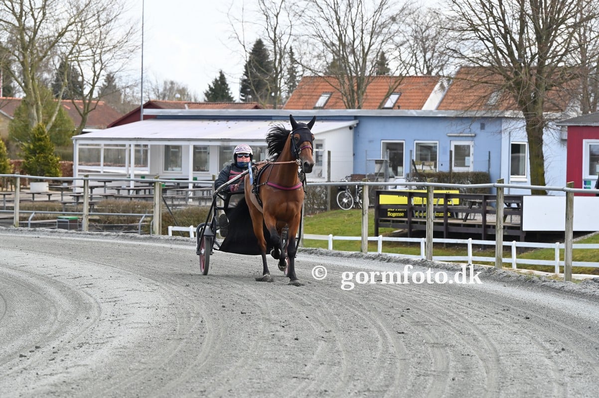 Fyens Væddeløbsbane med nyhedsbrev. 172248469_1921402554701732_8427992977851403814_n
