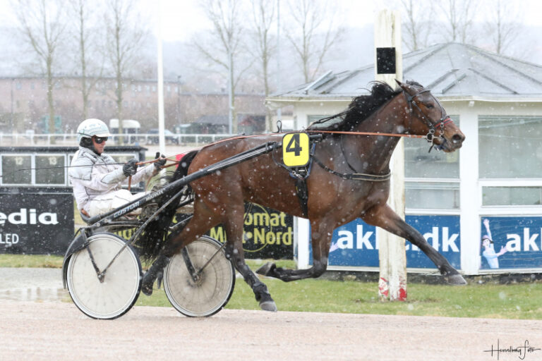 3M1A7841