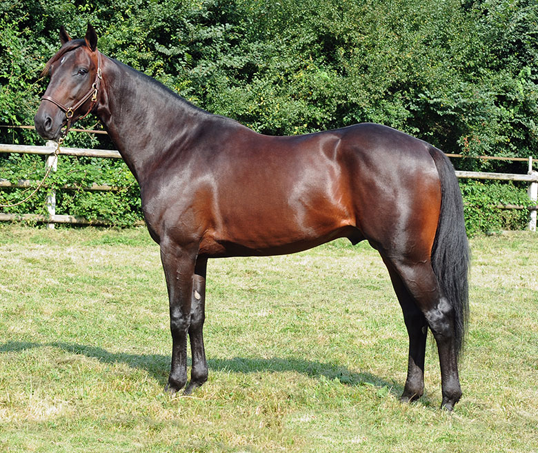 Bedækningsret ved Bird Parker - 40.000 kr. H-Bird-Parker