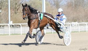 Madsen Niels H