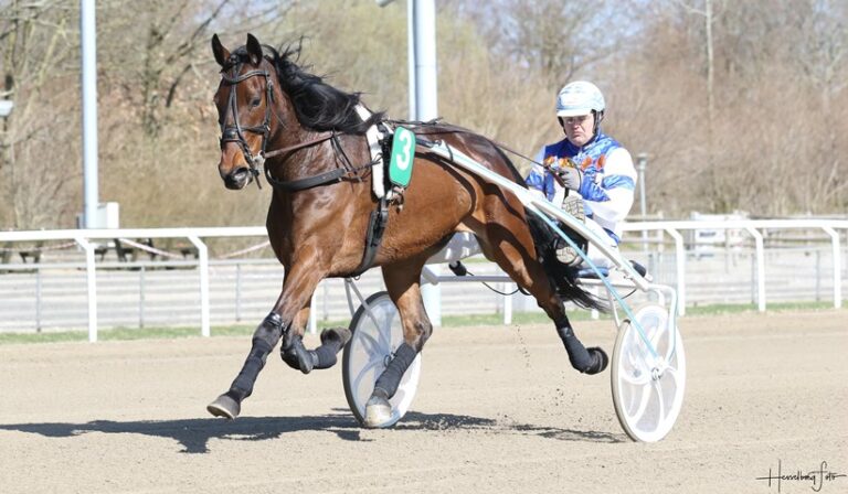 Madsen Niels H
