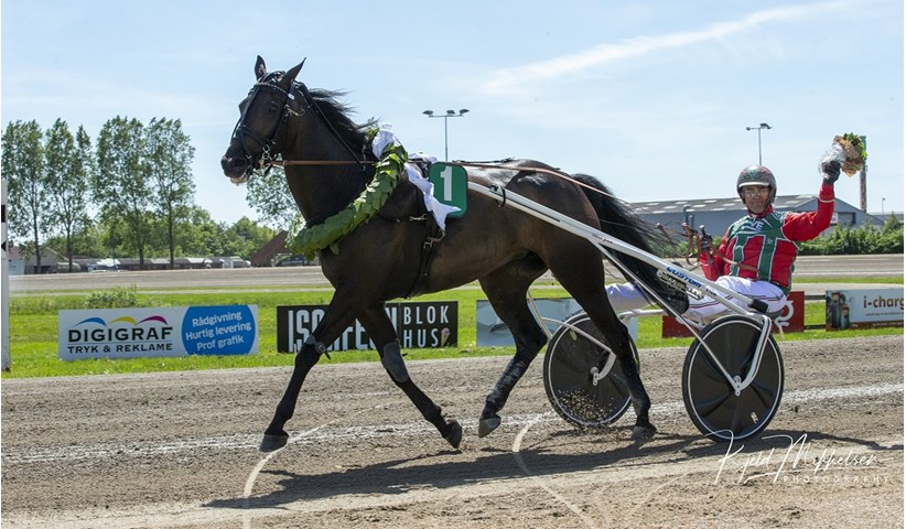 Kvartalets Profil: Jesper P. Nielsen Carna-Sensei-2-190602
