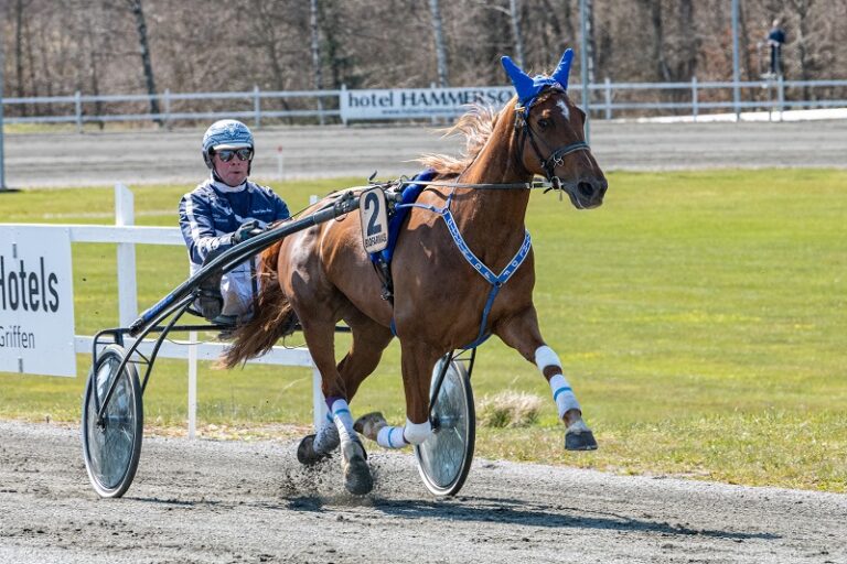 Citygirl D F med Martin Sjoeholm Jensen 1 maj 2021 Fotograf Torben Ager Travfoto Bornholm TKA 8826