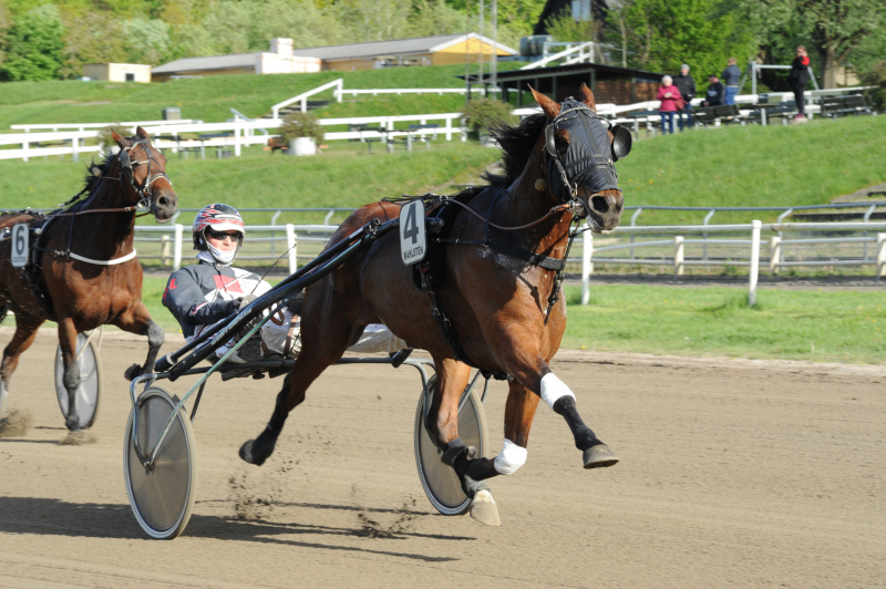 Leading Tile fortsætter med at vinde Leading Tile