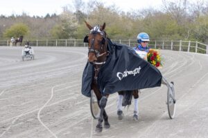Drago 210502