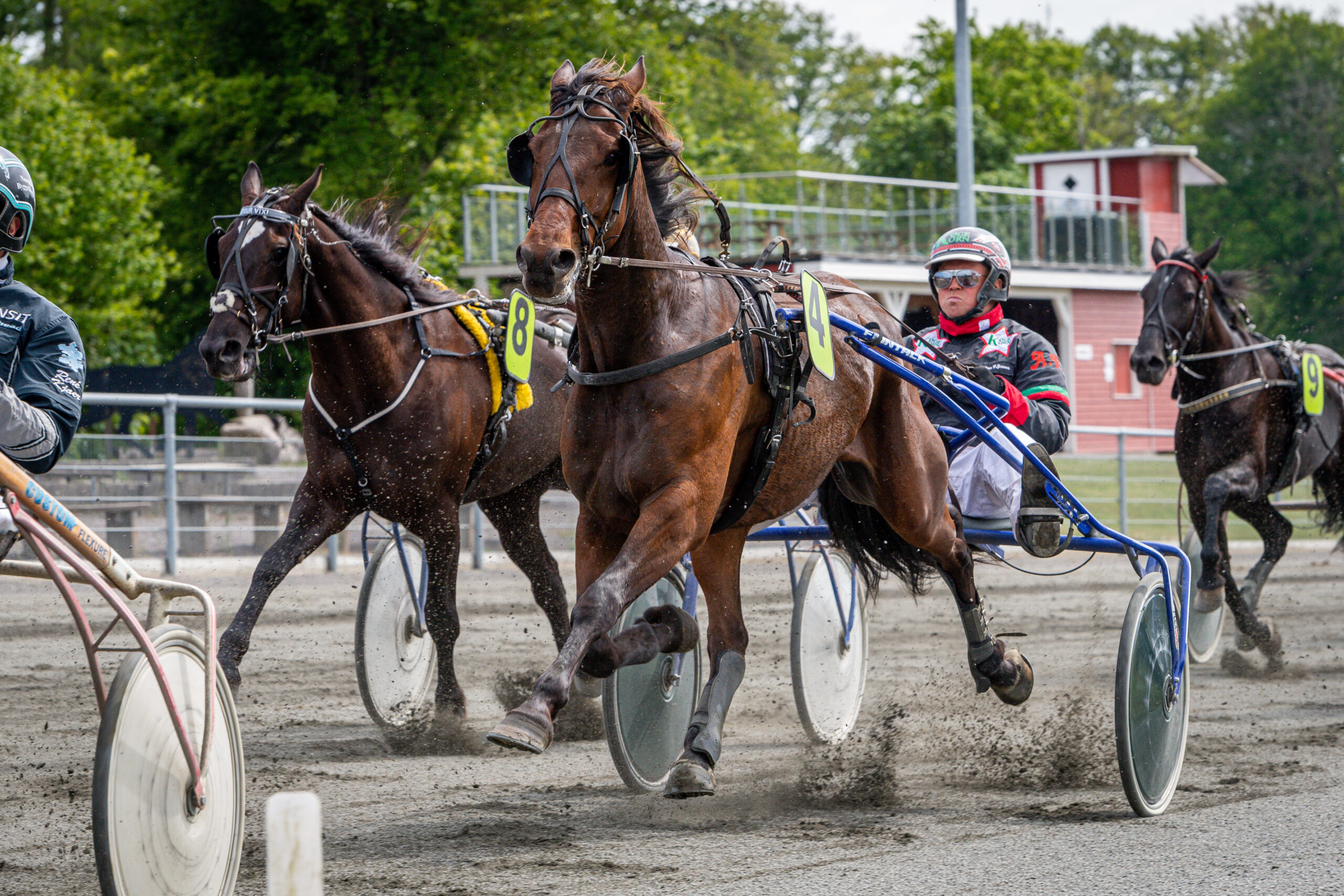 Easy Winner med Anders F Jensen Bornholms Brand Park 7 juni 2020 Fotograf Torben Ager Travfoto Bornholm TKA 3271 scaled