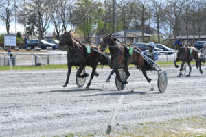HAMILTON D AM 0996
