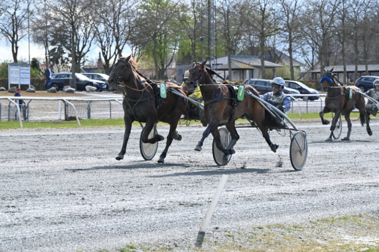 HAMILTON D AM 0996