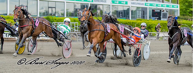 HEART OF STEEL 11I7550