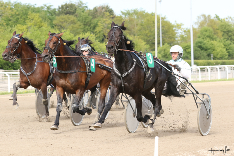 V75-Vinderen Machiavelli stopper karrieren Machiavelli-28521