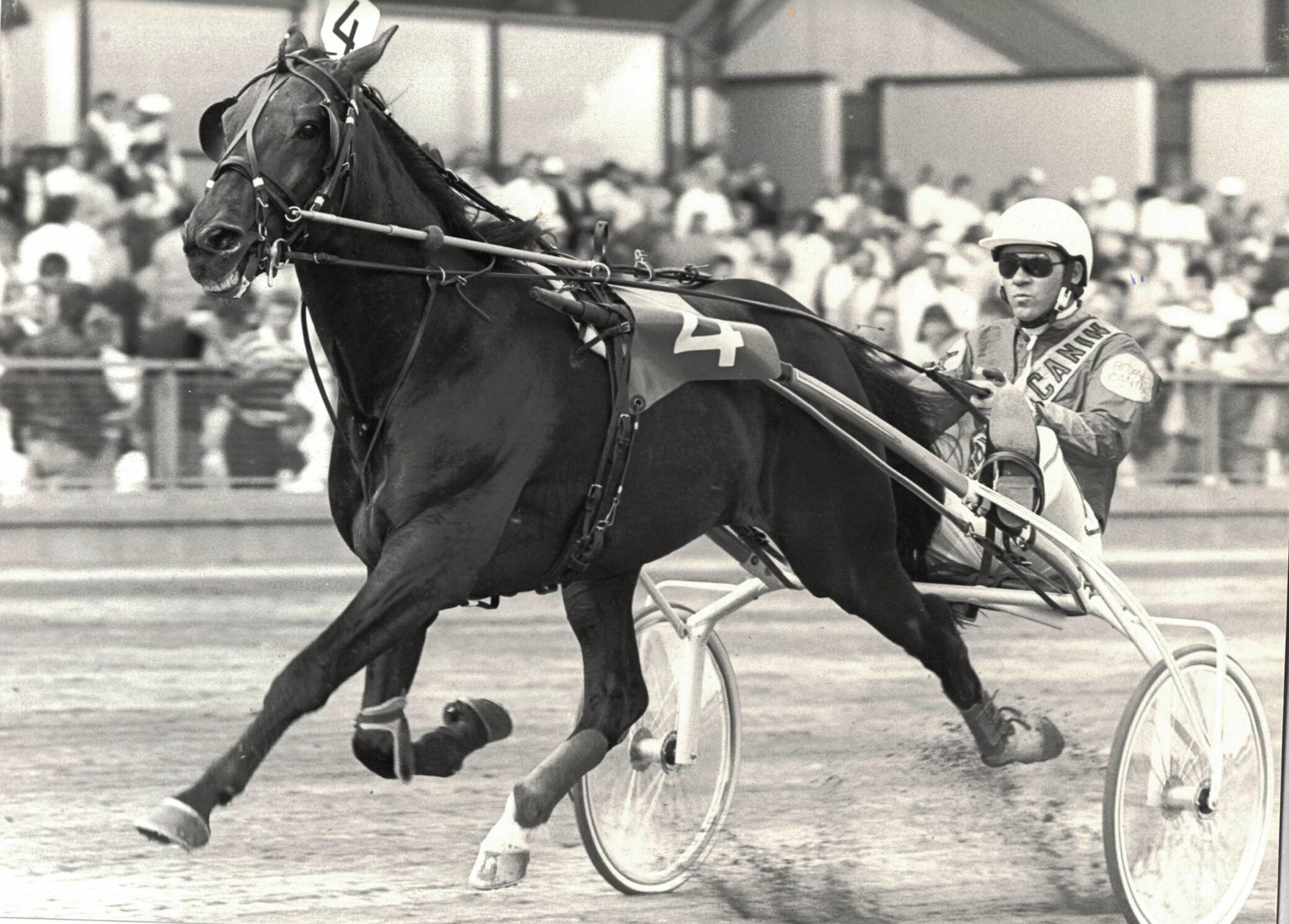 Meadow Roland PREBEN KJAeRSGAARD VINDER CC 3 GANGE FOTO BURT SEEGER scaled e1686475624671