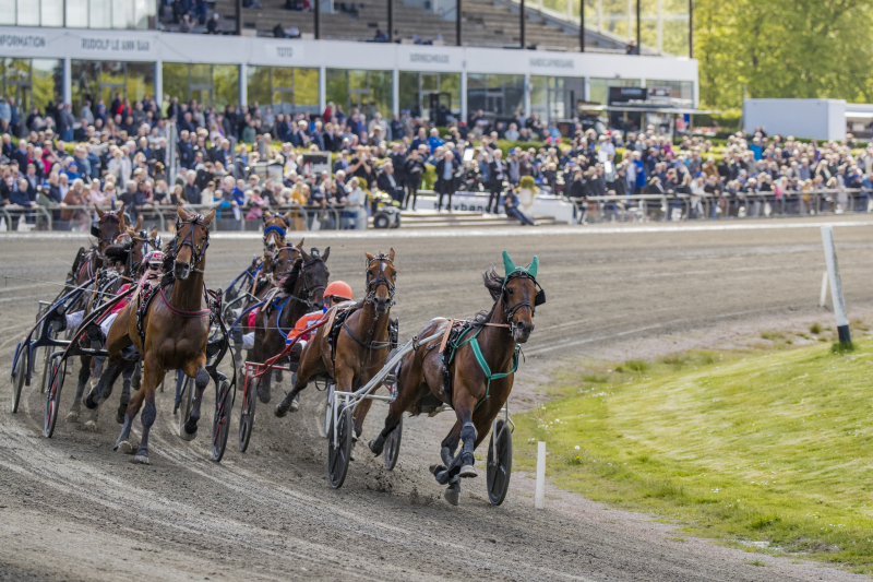 Copenhagen Cup – Wildcard uddeles i morgen copenhagen