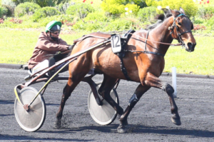 denicheur du vif