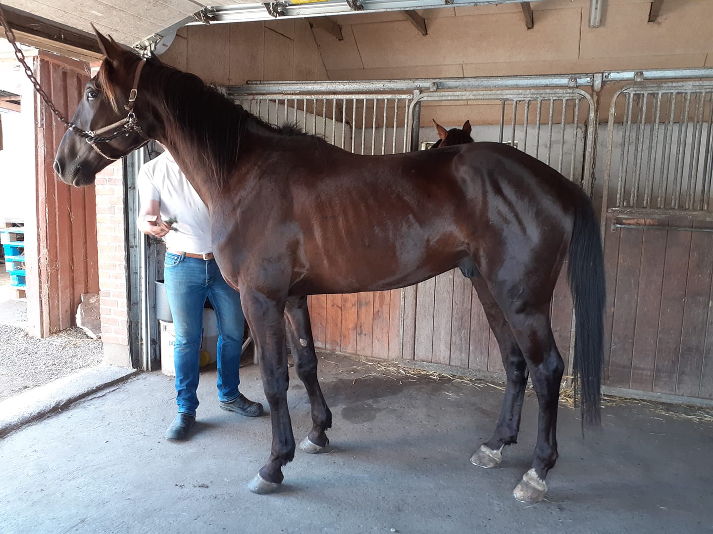 Salgsmenuen - De indkomne bud ikke gode nok 197788140_10158469956424065_6251078832447785128_n