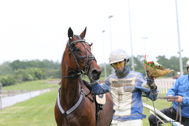 Vinderhest i budrunde 3M1A6102
