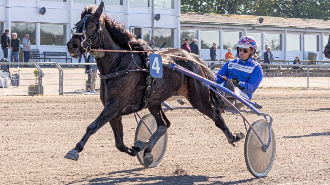 Stutteri Ice med fik opdrættersejr fraja_ice_310521-678x381
