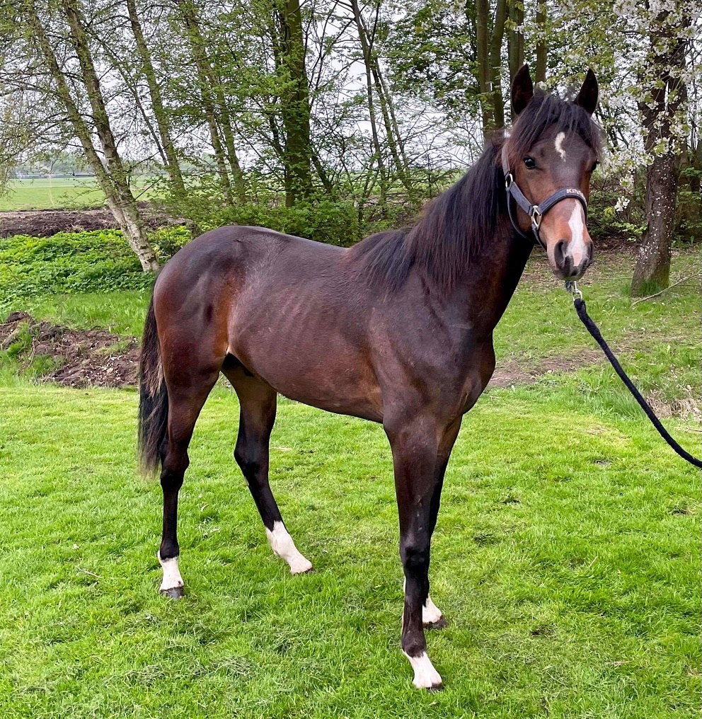 Hold øje med den i morgen på Lunden 185702926_921789818387894_259232824036471598_n