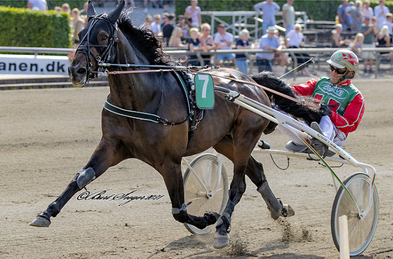 FESTIVAL_OF_SPEED_S2_1566
