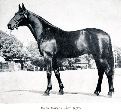 Ruder Konge-pokalen er kørt siden 1963 Ruder Konge