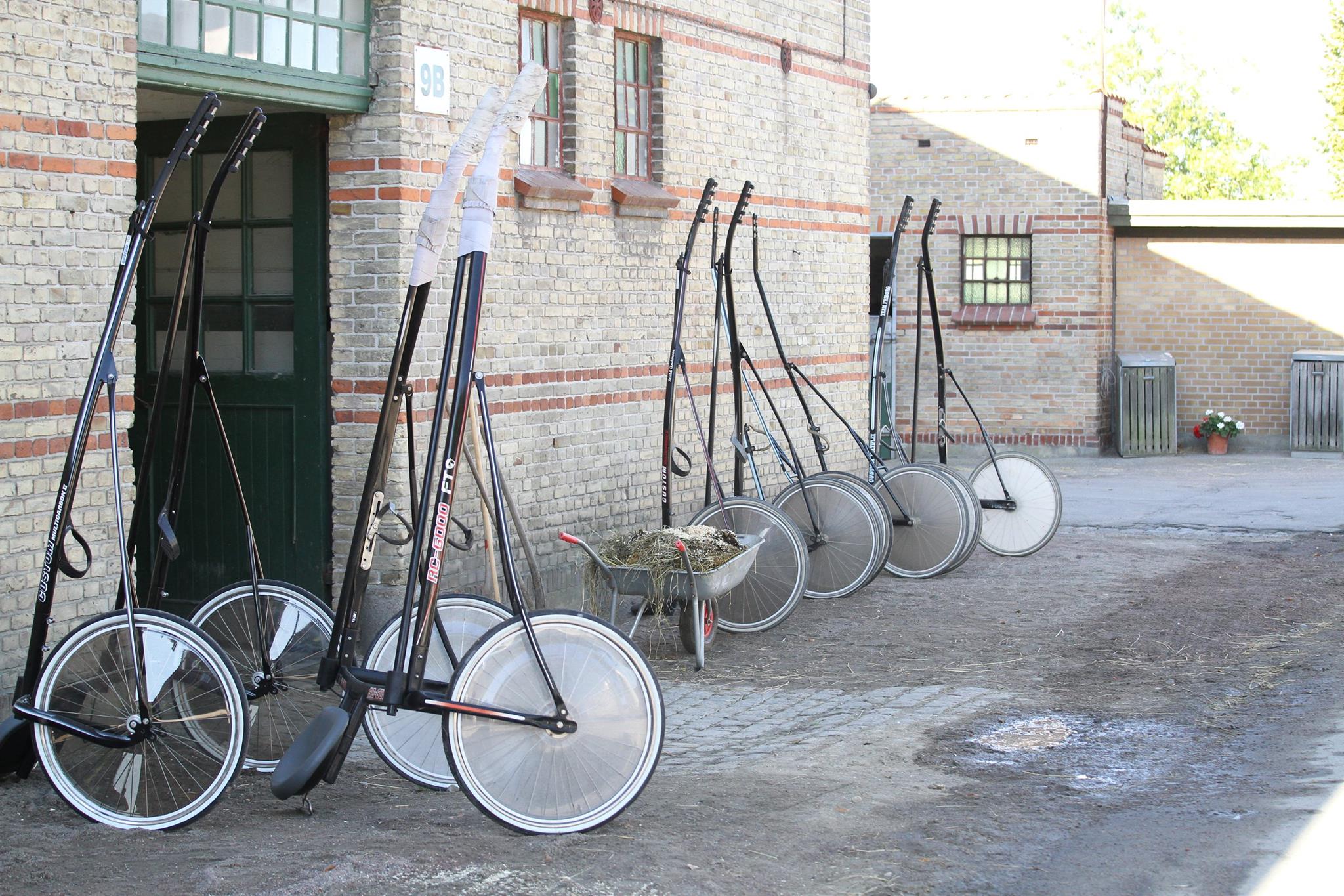 Sporten informerer - Hestehold Staldsiden