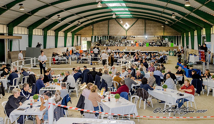 Sådan gik det på Derbyauktionen DTCs-Derbyauktion-2020