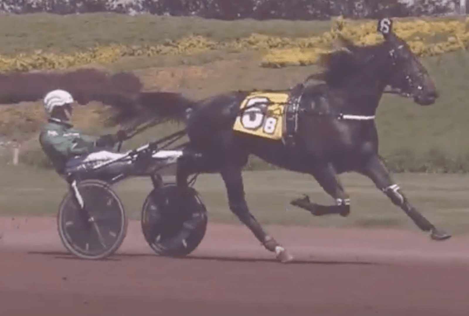 The Hambletonian 2021 og lidt historie E10EED40-8DF4-4B97-A437-9A74F74D7188