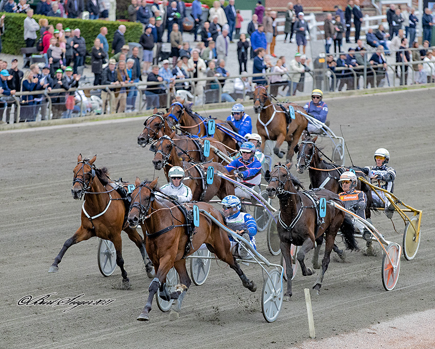Trav Charlottenlund