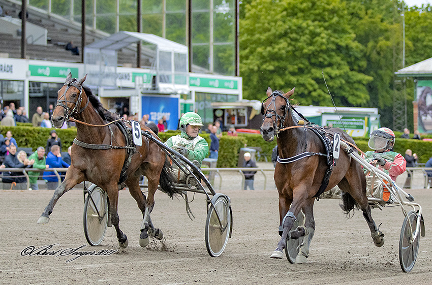 Bredt flertal styrker kampen mod hvidvask og matchfixing Trav Charlottenlund