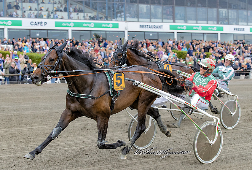 Trav Charlottenlund