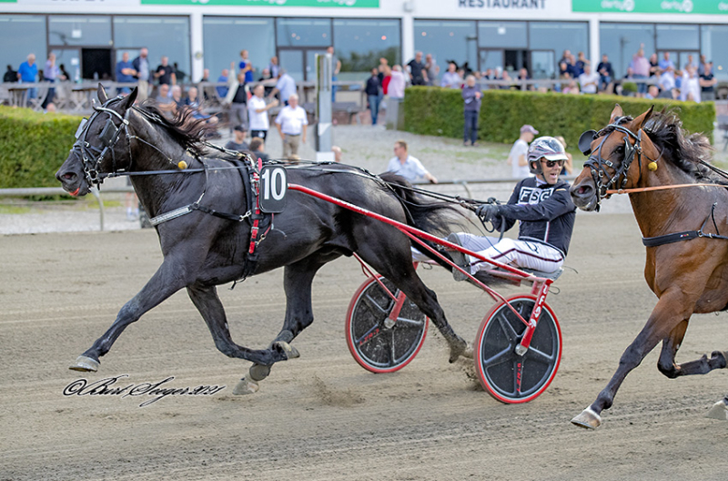 FOREVER SHADOW S2 5733