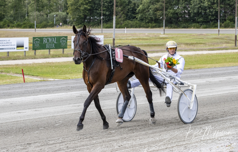 Hoppederby-treer sæsondebuterer _Finest_Aveve_B_Svendsen_
