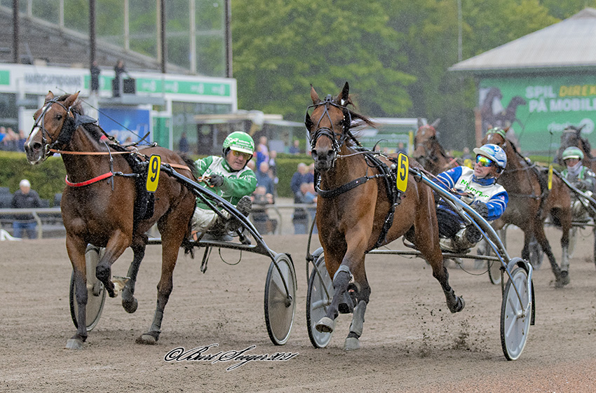 1. løb: Glory Holmsminde akkurat Trav Charlottenlund