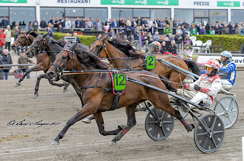 GO ON GARDENIA S2 6869