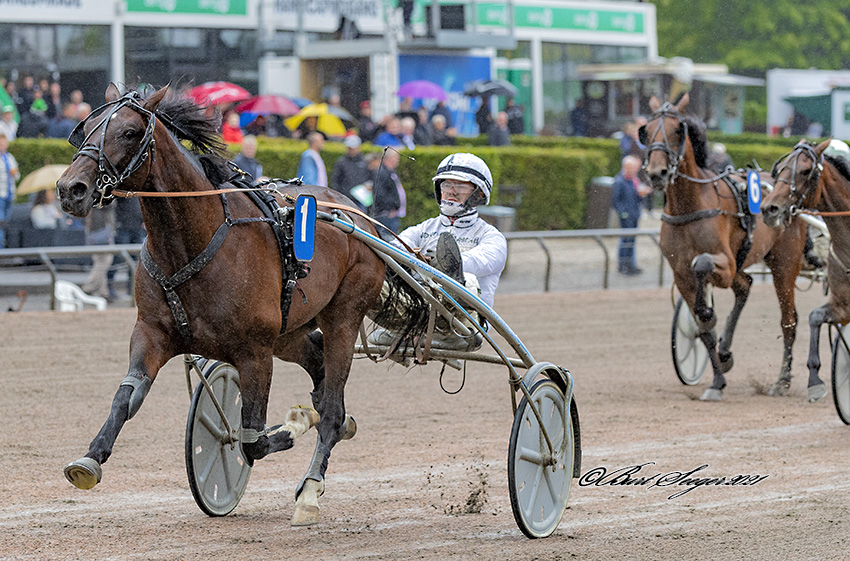Trav Charlottenlund