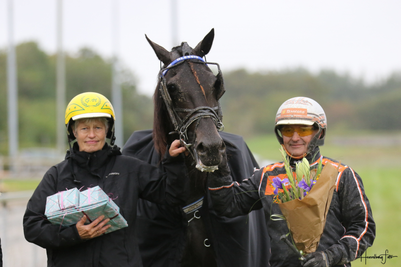 Sådan er det gået i Aalborg Alessio