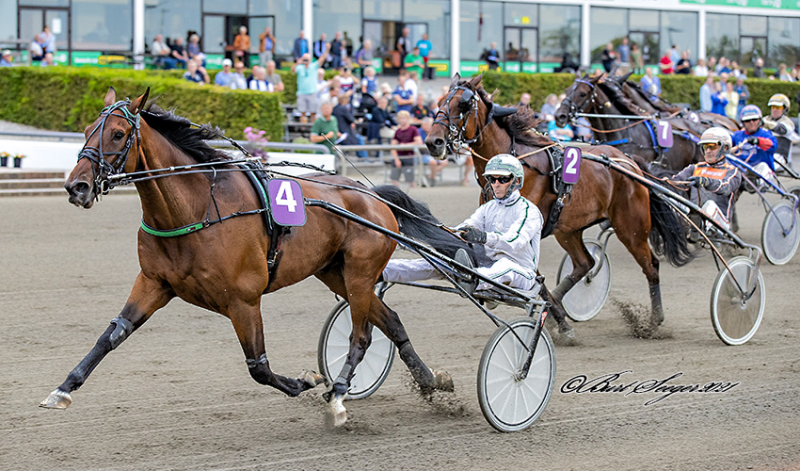 Eros Zola klar til Vincennes EROS_ZOLA_S2_8381
